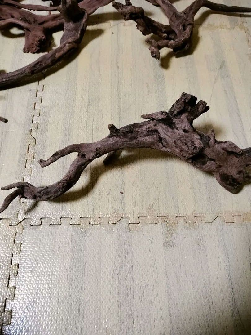 わ*ち様 水槽用流木 複数セット ホーンウッド ブランチウッド