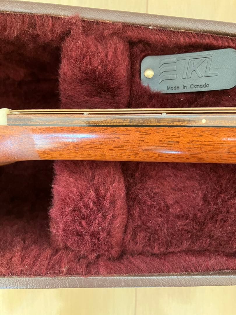 レア/希少　Martin DCPA 1 PLUS マーティン　縦ロゴ