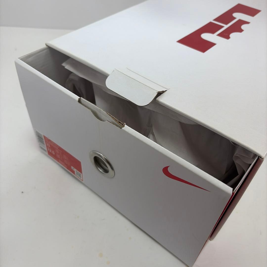 Nike LeBron ９レトロ リーガルピンク シューズ(男性用)２９センチ