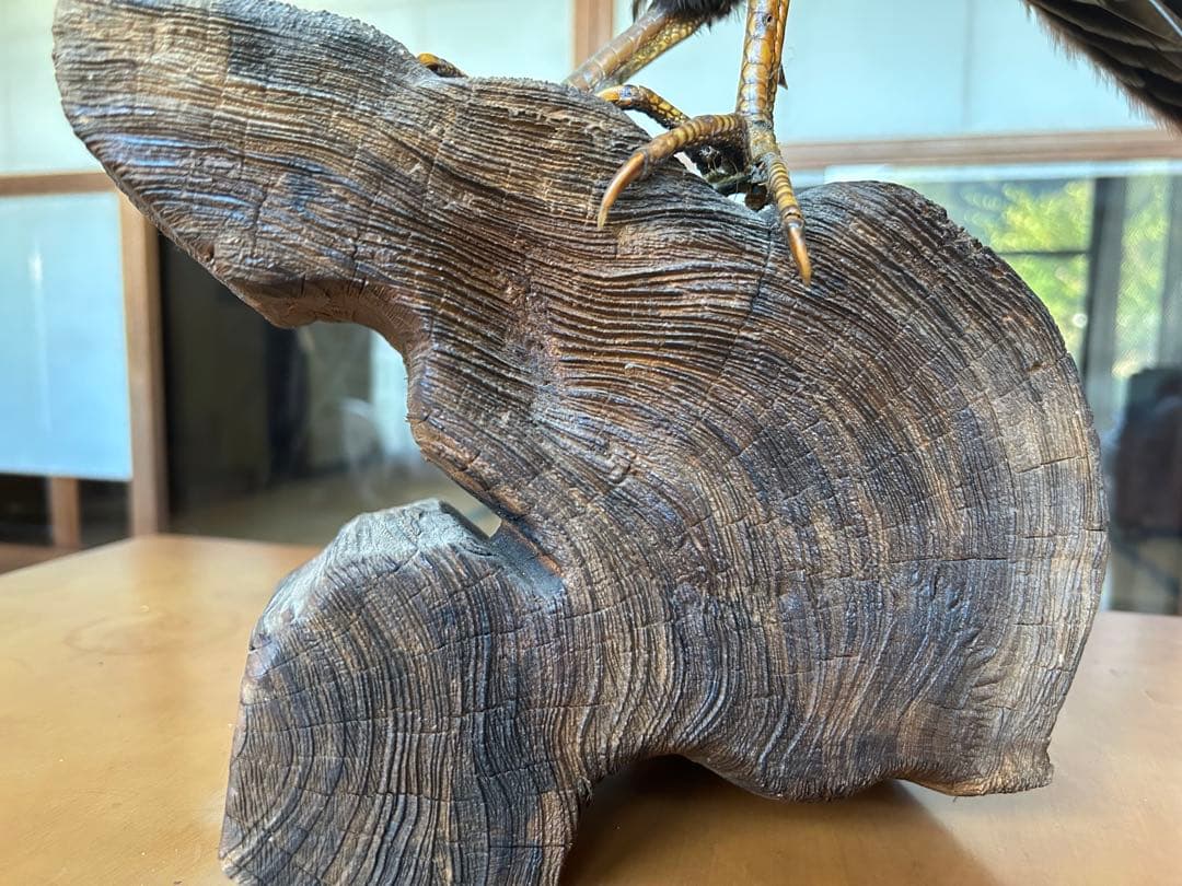 雉　キジの剥製　レトロ