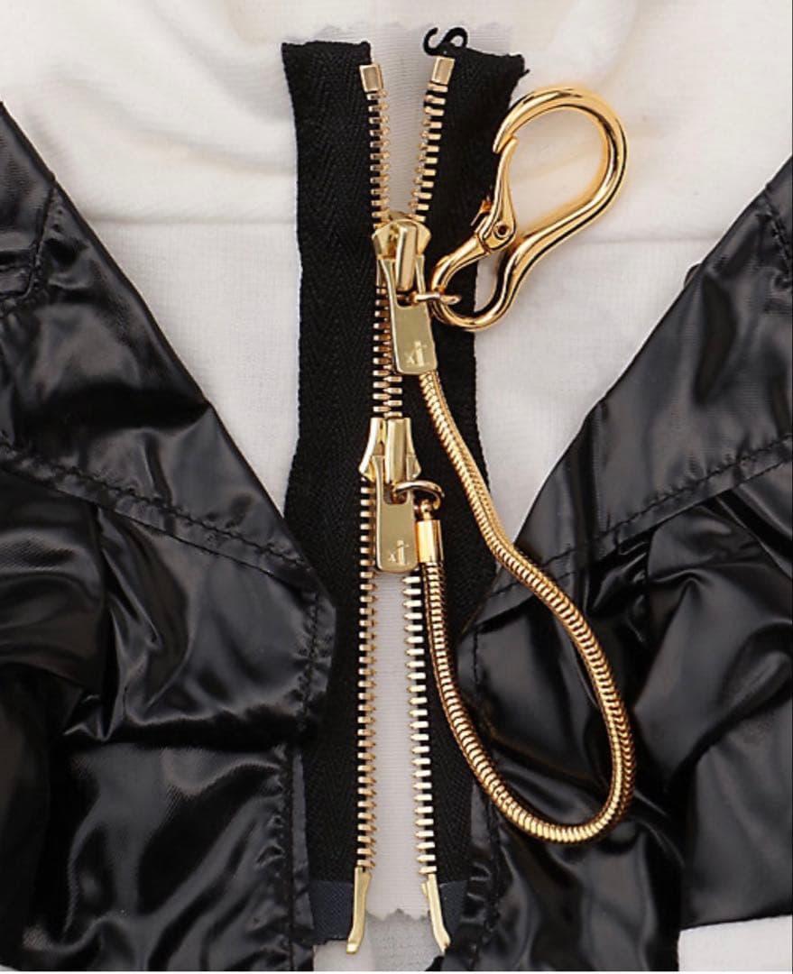 ⭐︎今月限定値下げ⭐︎新品未使用 if nou s イフヌ 犬服