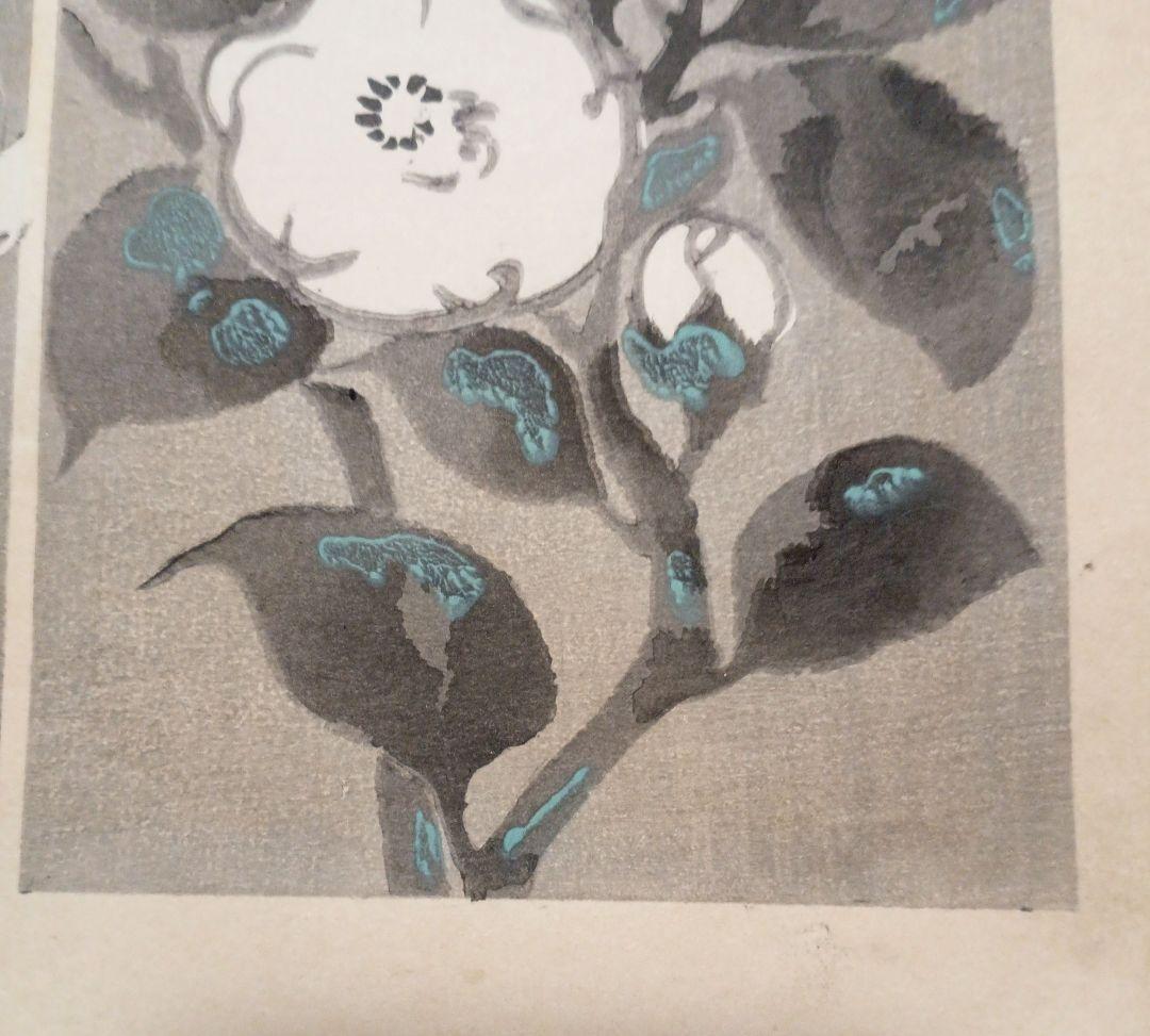 琳派図案版画（色摺版画)作者不詳、明治後期～昭和初期出版