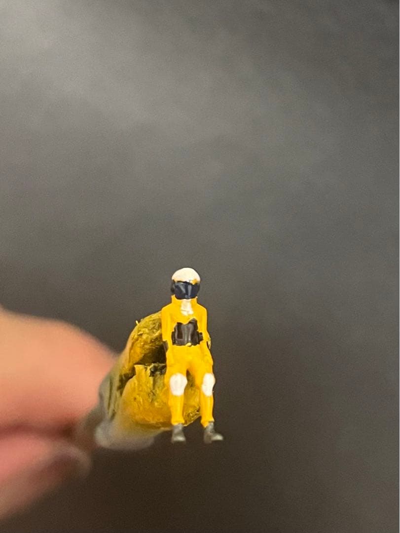 ハク品　ルプス