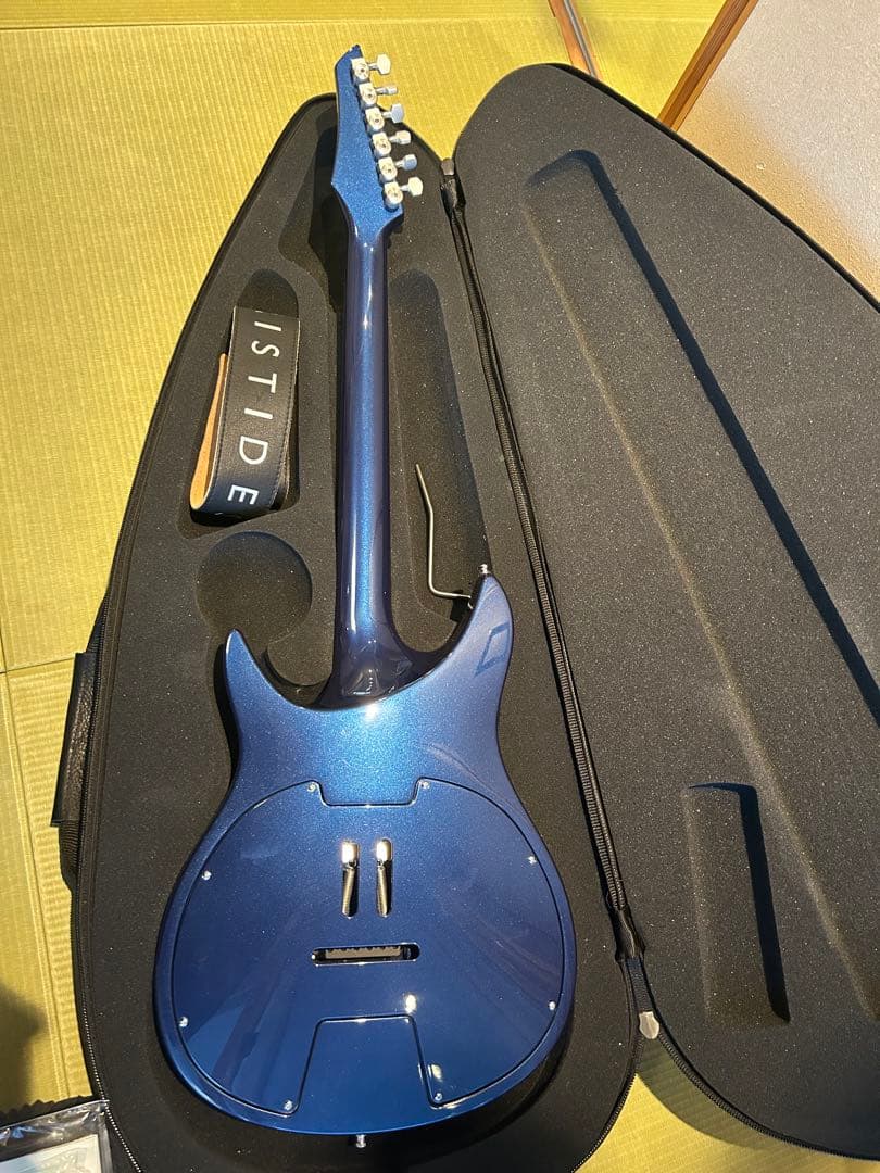 ARISTIDES(アリスティディス) Guitars010 Hard Blue