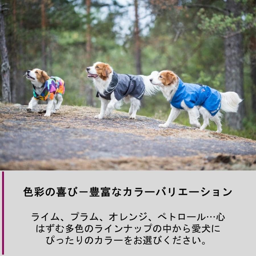 フィンランドデザインのPomppa・ドッグジャケット。