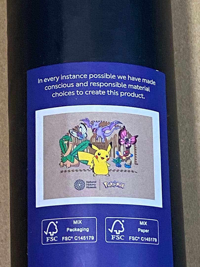 ポケモン ロンドン自然史博物館　ピカチュウA3 ポスター　C