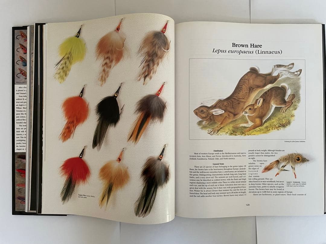 ルアー・フライ Rare and Unusual Fly Tying Materials