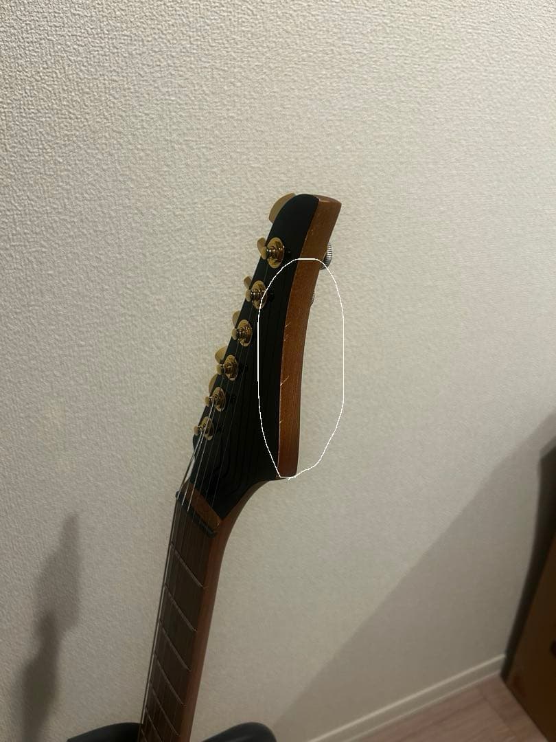 Bacchus BTE-1DX RSM MOD テレキャスター suhr