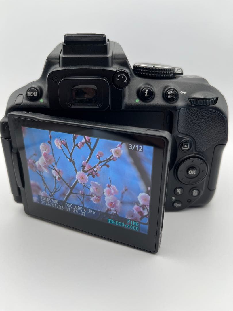 『外観美品　動作確認済』Nikon D5300 ダブルズームセット