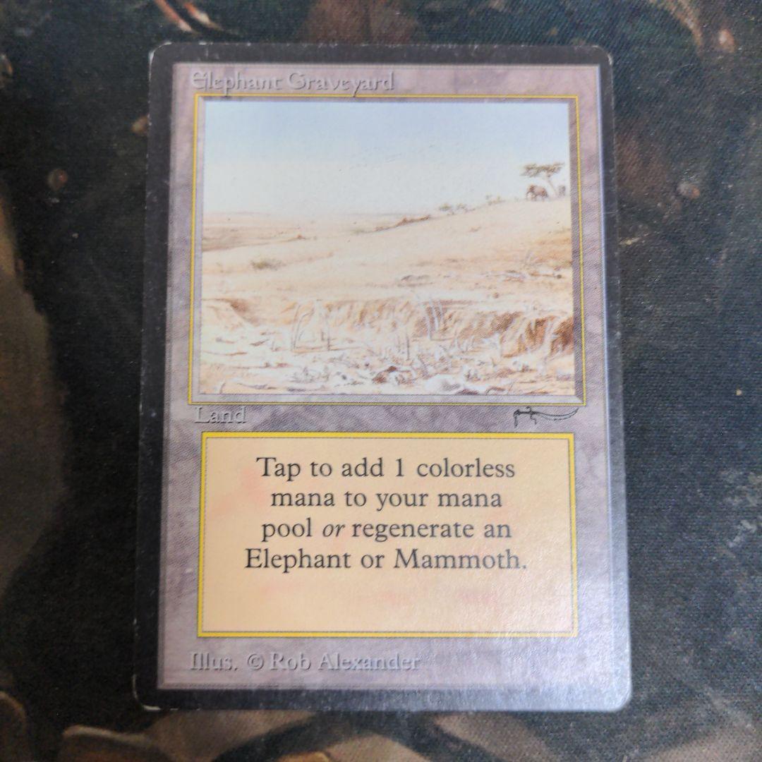 Elephant Graveyard　アラビアンナイト