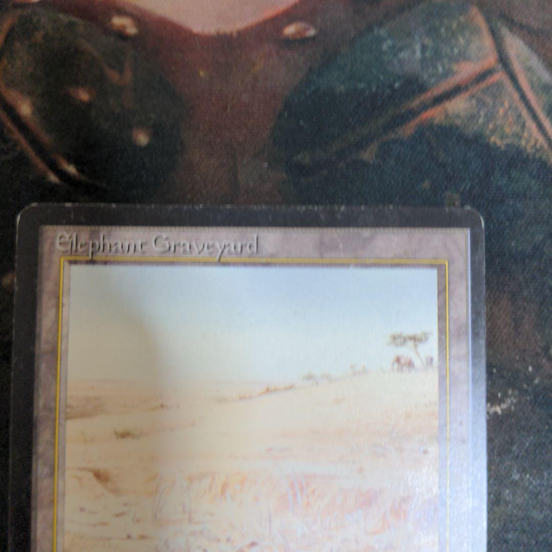 Elephant Graveyard　アラビアンナイト