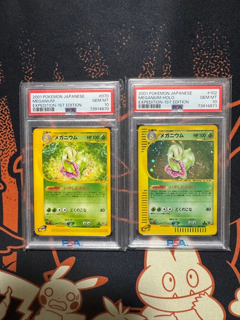 メガニウム　カードe PSA10 キラ　ノーマル　セット　連番