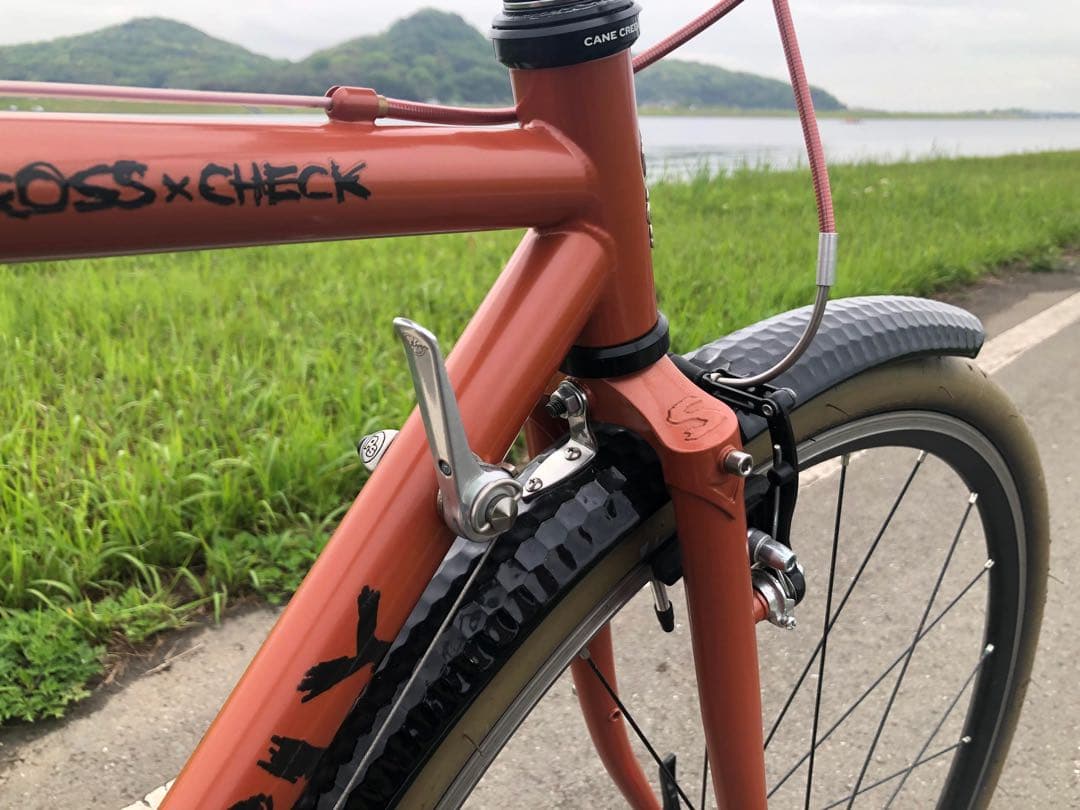 A*u様 引取限定　SURLY Cross Check クロスチェック　ミュール