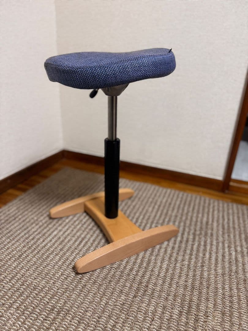 balans Synergy サイズ330mm + 358mm クッションチェア