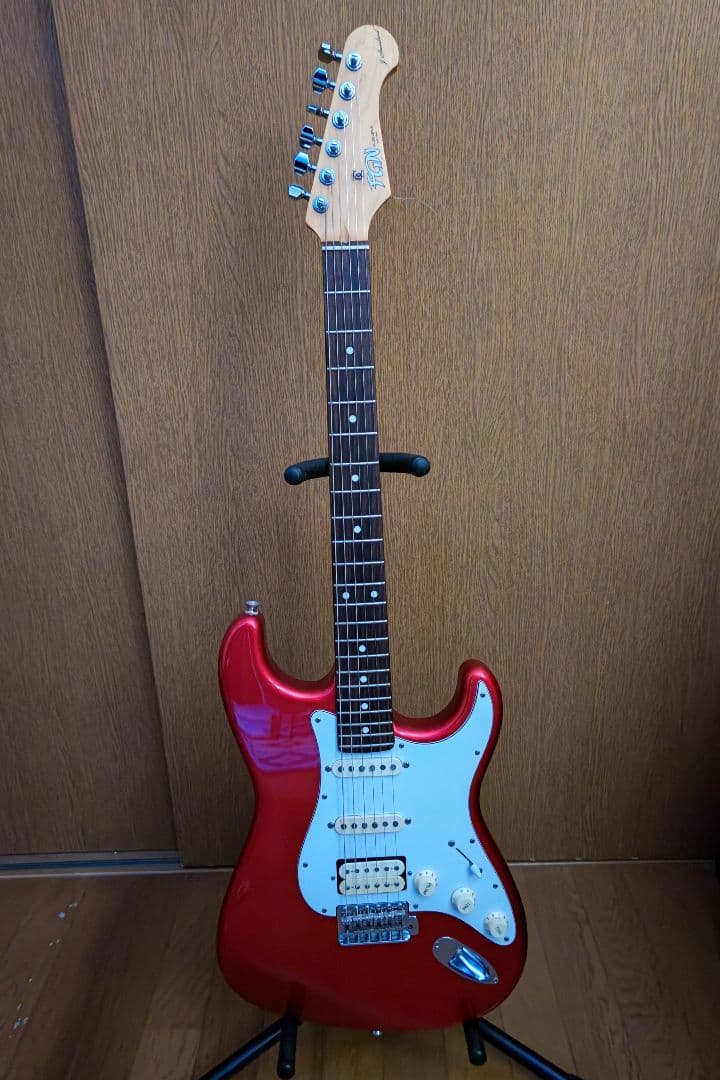 ギター FGN Stratocaster