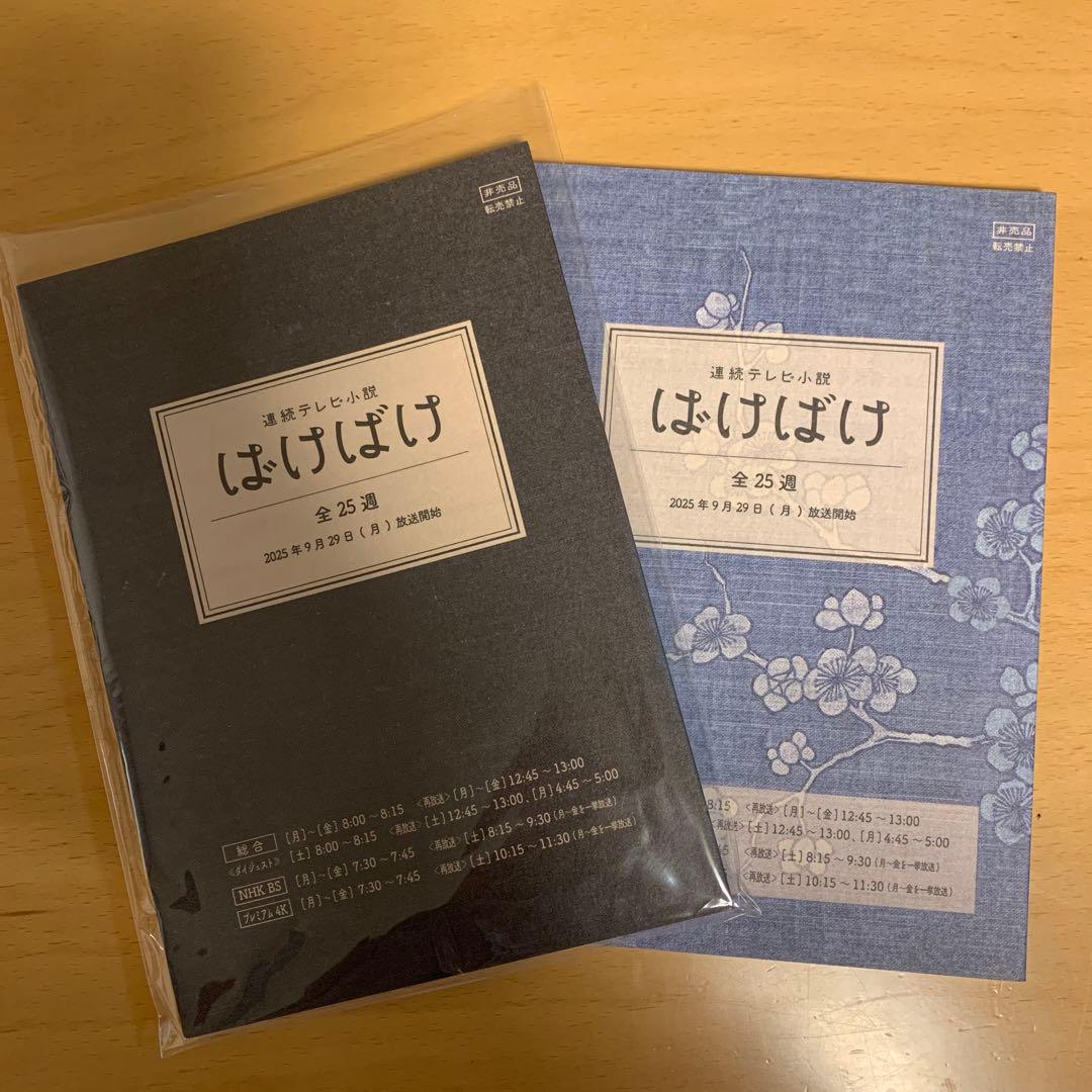 連続テレビ小説　ばけばけ　朝ドラ　NHK 非売品　台本　ノート