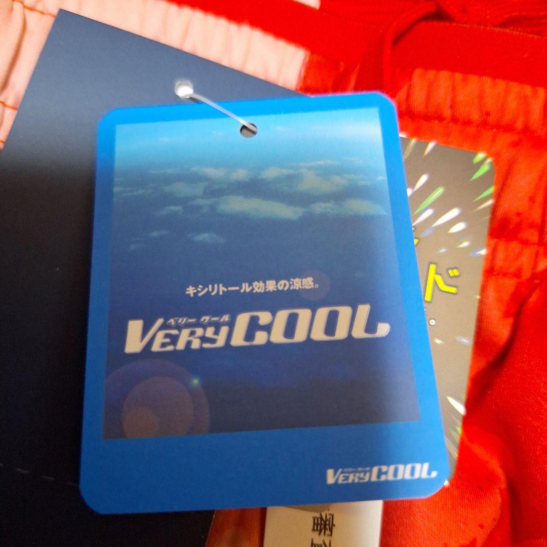 新品未使用タグ付き代表モデル、希少パンツOサイズ