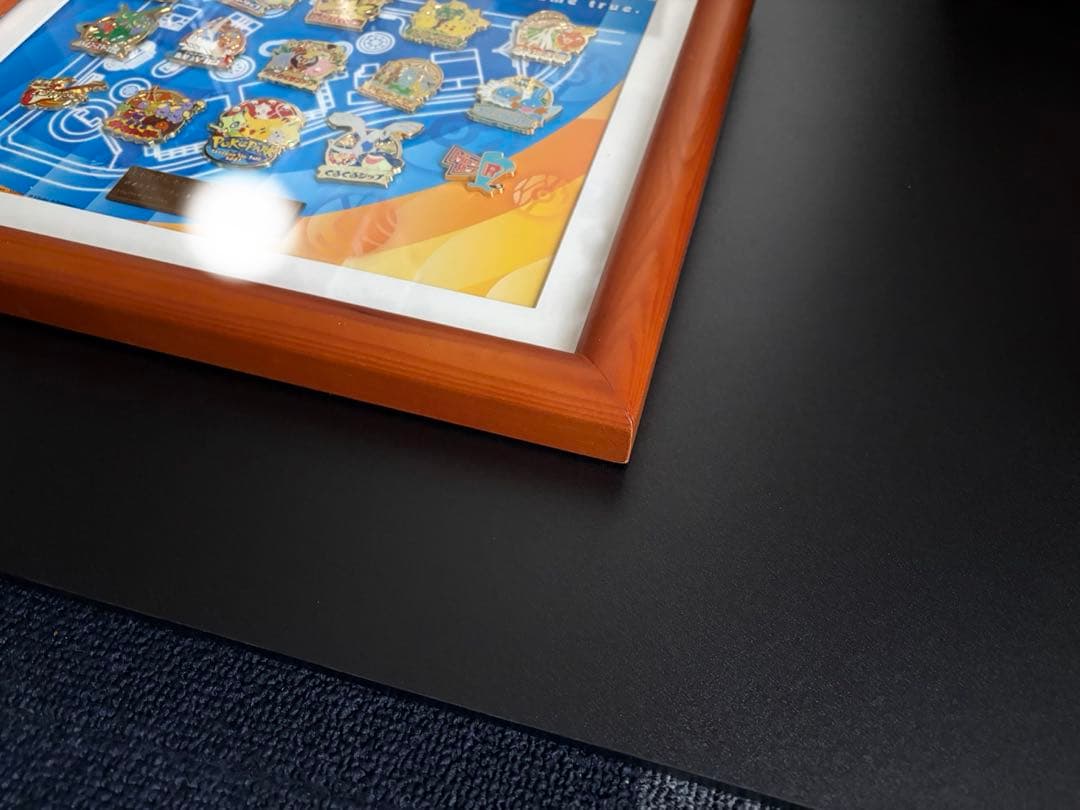 ポケパーク ピンバッジ コンプリート セット ポケモン