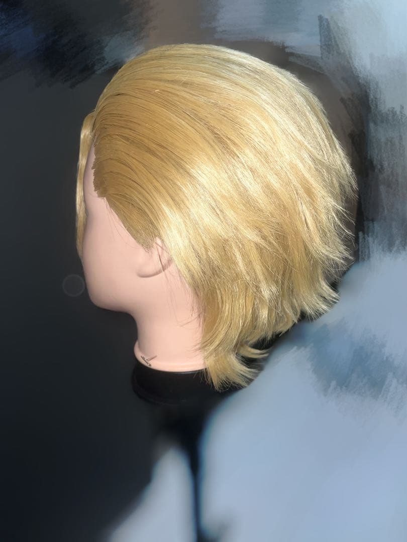 スタンリー ウィッグ