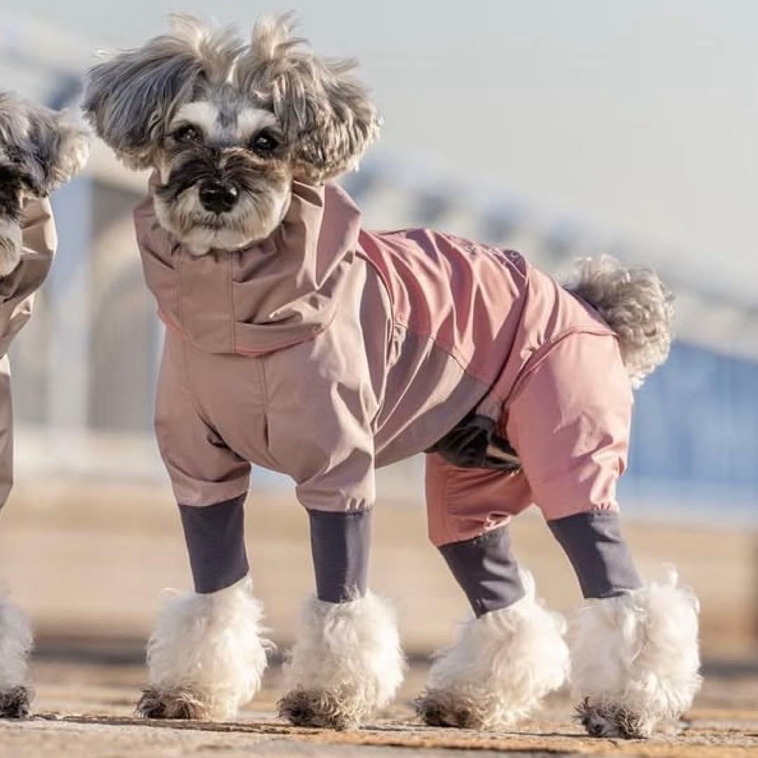 ALPHAICON アルファアイコン レインドッグガード S サイズ ピンク