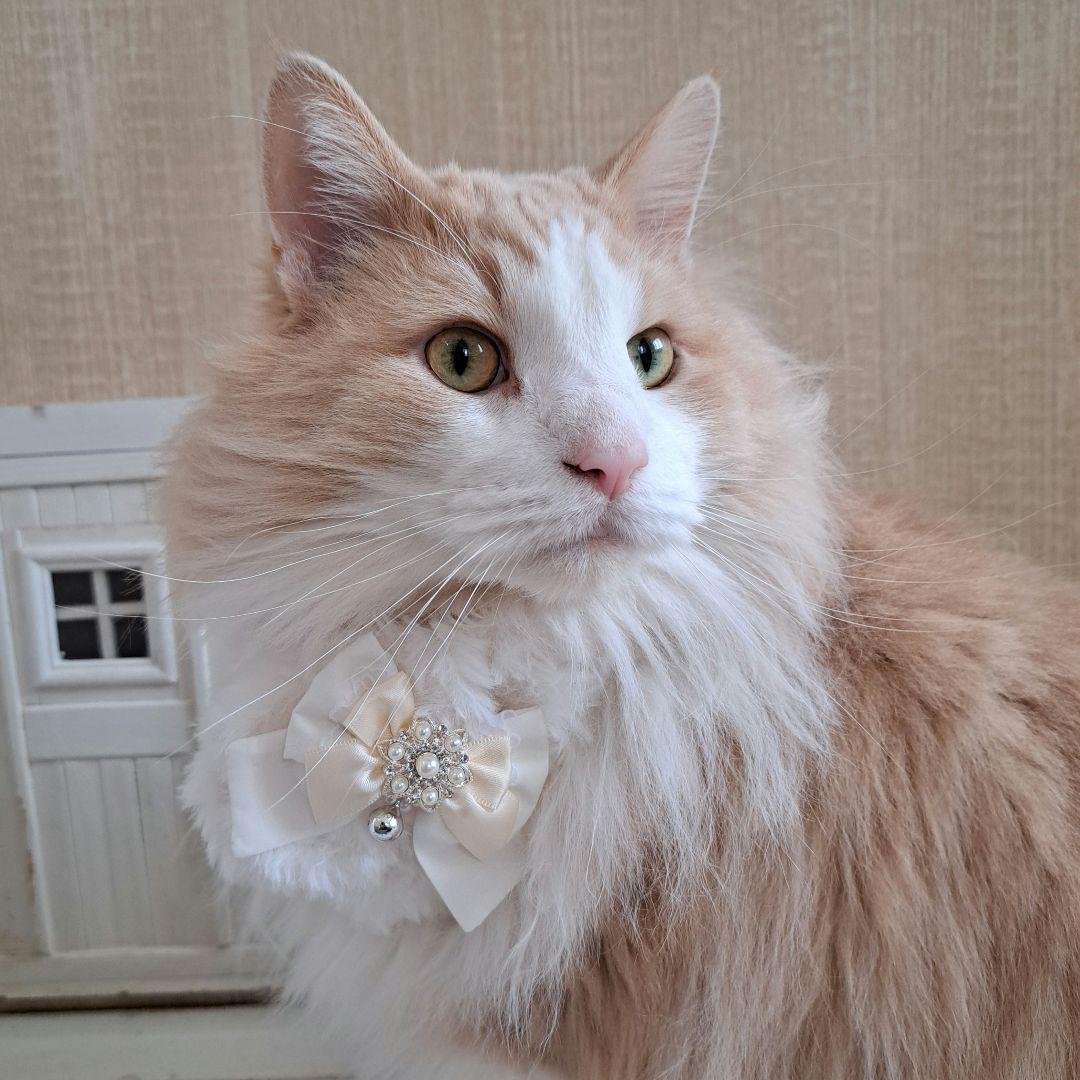 はる、ザックリ手編みのふわふわマフラー、わんちゃん猫ちゃん用