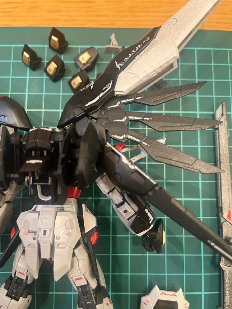 RG デスティニーガンダム全塗装完成品