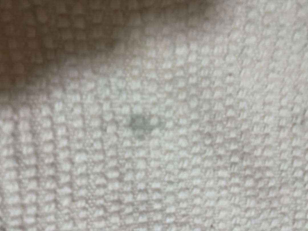 ベニワレン　モロッコラグ　マルムーシャ