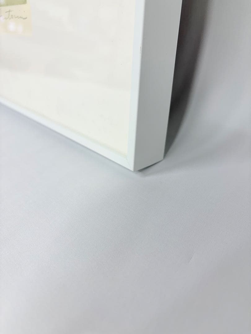 アナピア・アントニーニ　直筆サイン　絵画　リトグラフ　88/99