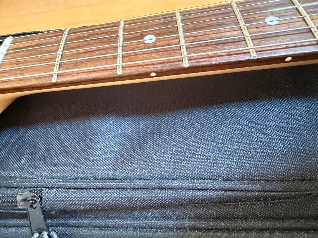 SCHECTER PROGAUGE PS-S-PT ロック式ペッグ交換済み品