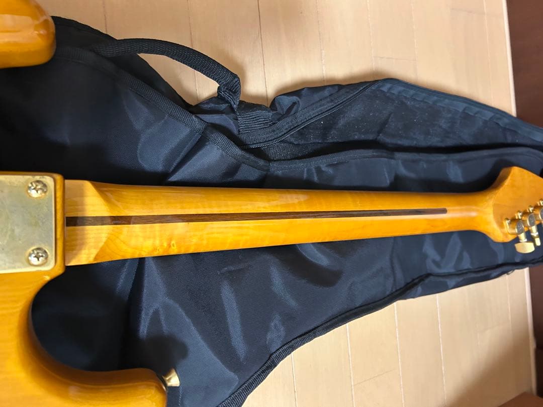 SX エレキギター ストラトキャスタータイプ ヴィンテージシリーズ