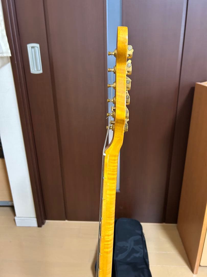 SX エレキギター ストラトキャスタータイプ ヴィンテージシリーズ