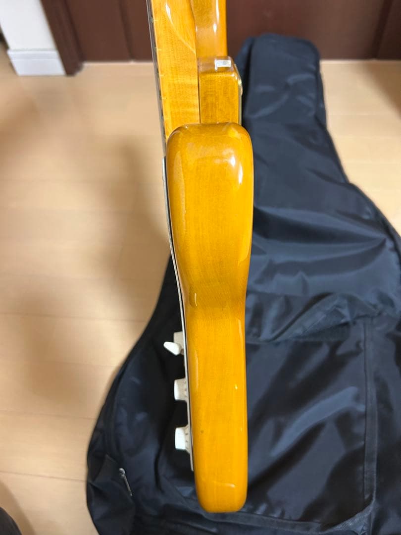 SX エレキギター ストラトキャスタータイプ ヴィンテージシリーズ