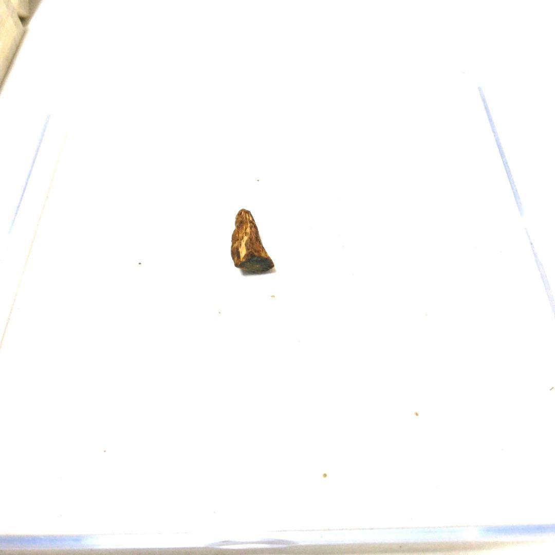 聞香用 香木 沈香 伽羅 最高級香木 六国揃え ⑫