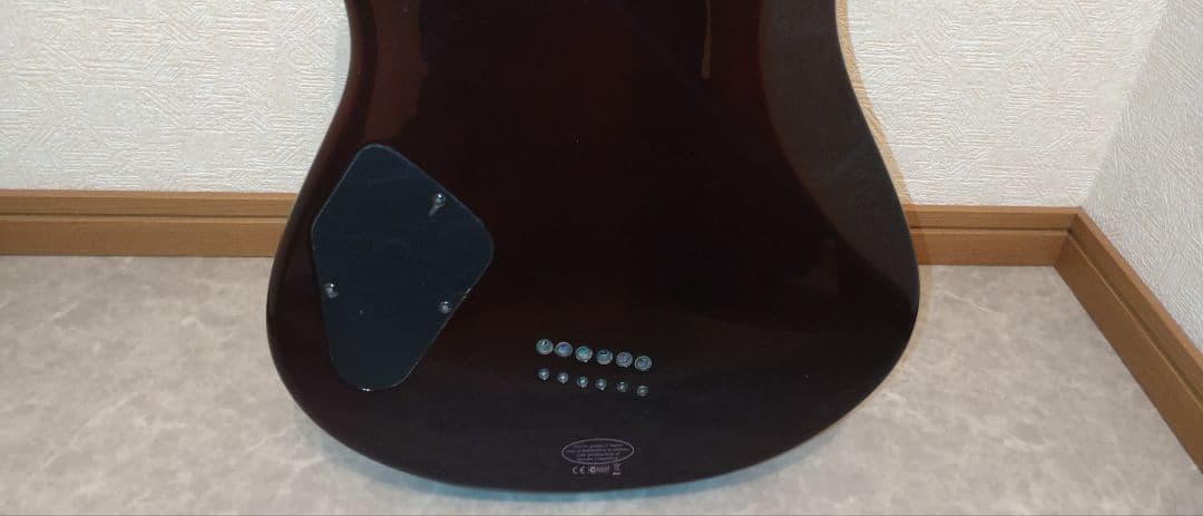 YAMAHA ヤマハ　RGX520FZ 海外モデル