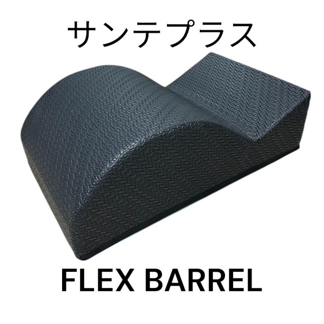 サンテプラス　フレックスバレル　クジラ型