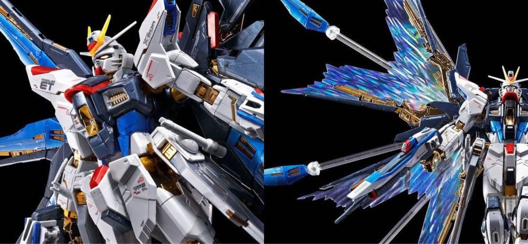 ＲＧ 1/144ストライクフリーダムガンダム本体＋拡張エフェクトユニット天空の翼