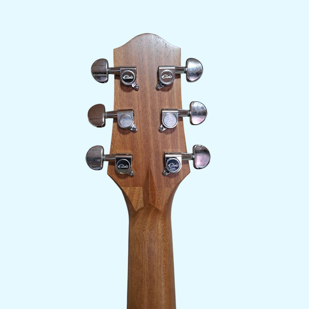 ✨美品✨Elvis 　Master 1　アコースティックギター 　ソフトケース付