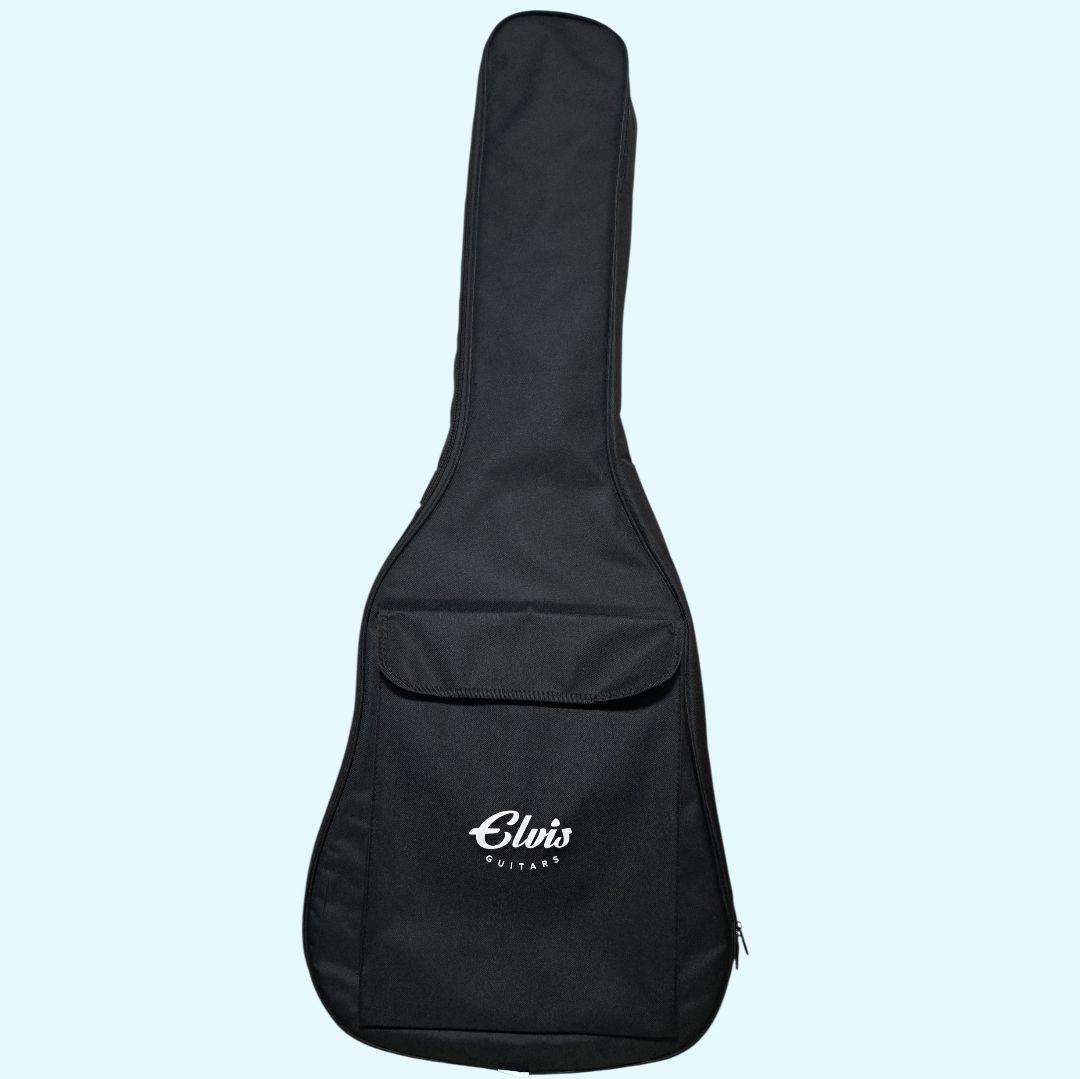 ✨美品✨Elvis 　Master 1　アコースティックギター 　ソフトケース付