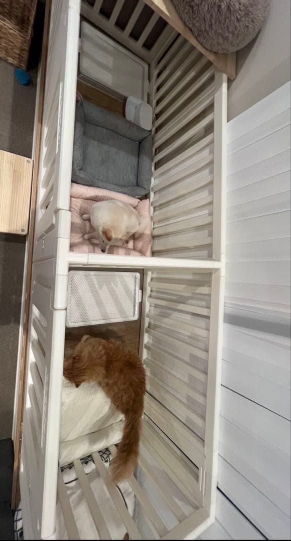 cocozari 折りたたみ式ペットサークル ホワイト