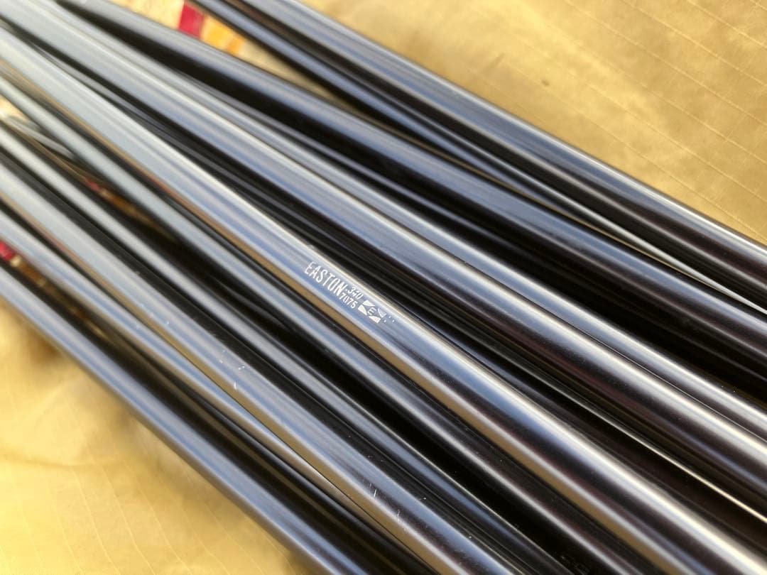 【希少】Moss stargazer カムデン製 MoMA永久所蔵テント モス