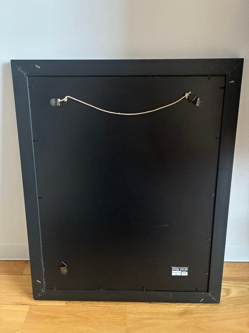 NFL リッチ・ギャノン 直筆サイン フォト 枠付き