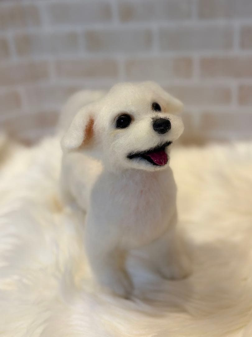 ジ*原様 羊毛フェルト　マルチーズ　momoichigo