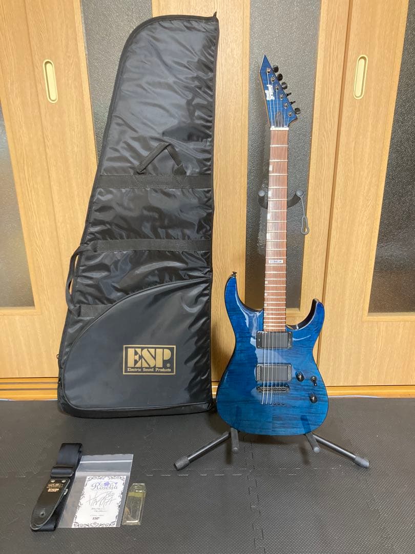 ギター M-II SAYO BanG Dream! Roselia