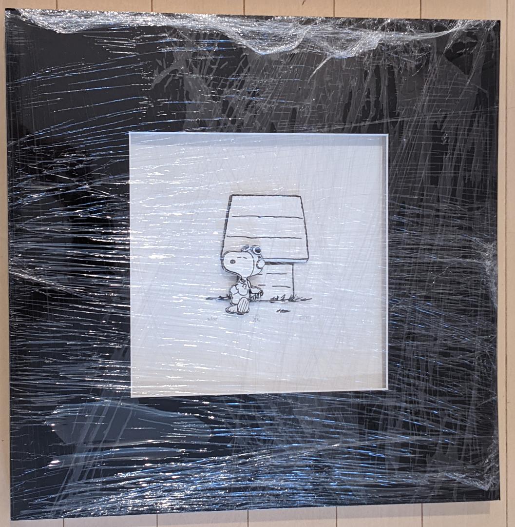 スヌーピー レイヤード 切絵 3D デコパージュ snoopy 世界限定175枚