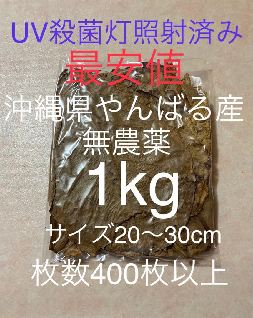 【puipuiさん専用】マジックリーフ 1kg
