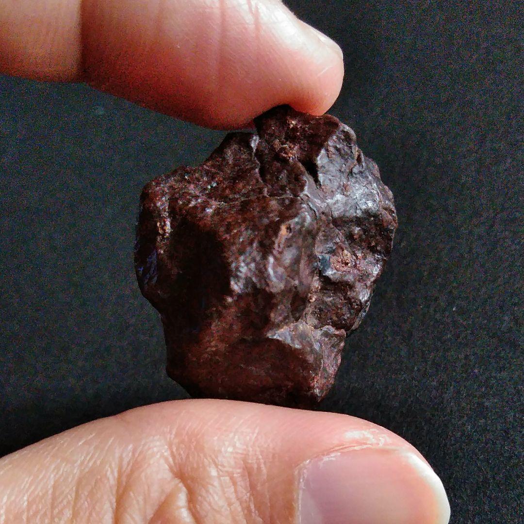 サハラ砂漠　隕石　コンドライト　30mm