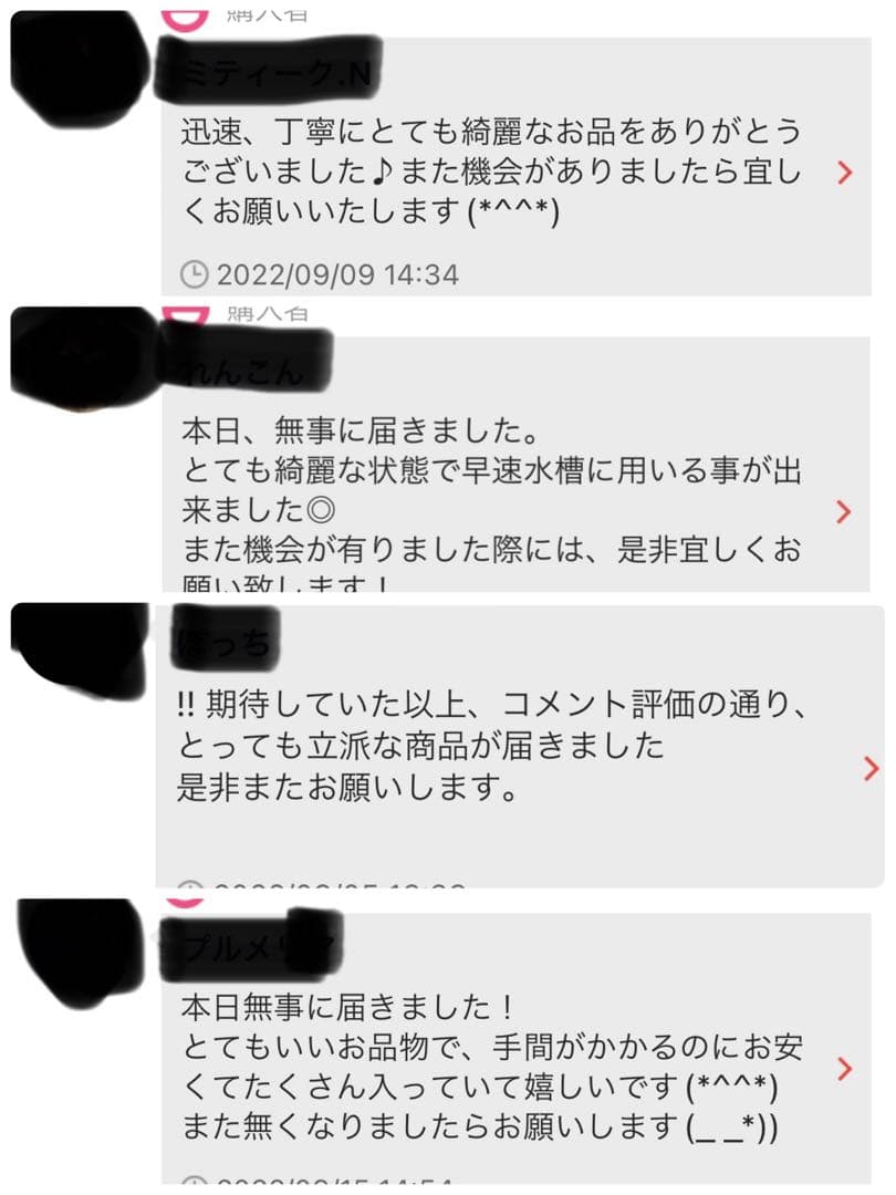沖縄県やんばる産マジックリーフ 1kg UV殺菌灯照射済み④