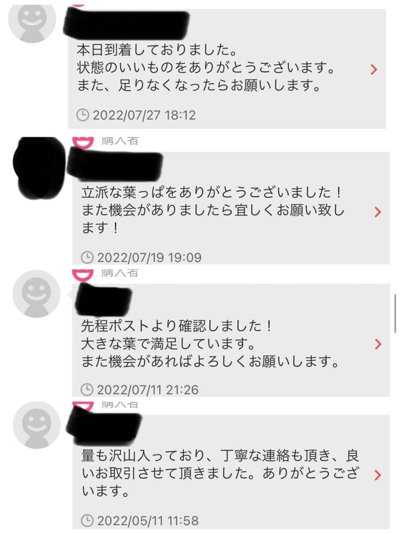 沖縄県やんばる産マジックリーフ 1kg UV殺菌灯照射済み④