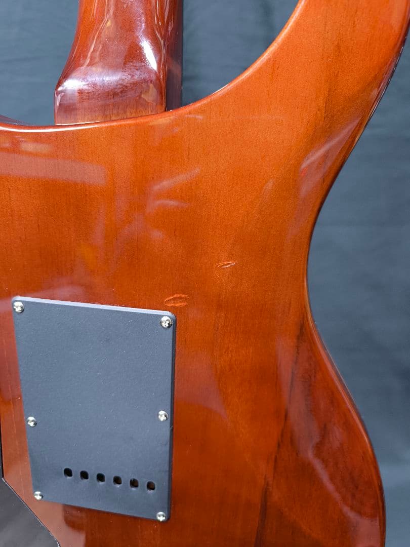 SELVA エレキギター PRS タイプ イシバシ楽器ブランド