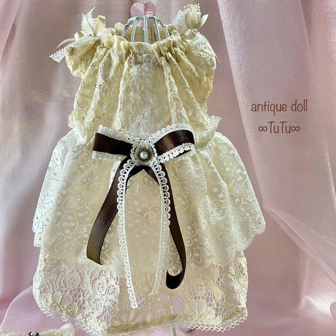 アンティークドールワンピ✴︎フレンチスリーブ　犬服　ハンドメイド　∞TuTu∞